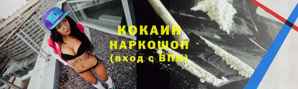 СК Бронницы