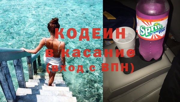 гидра Корсаков