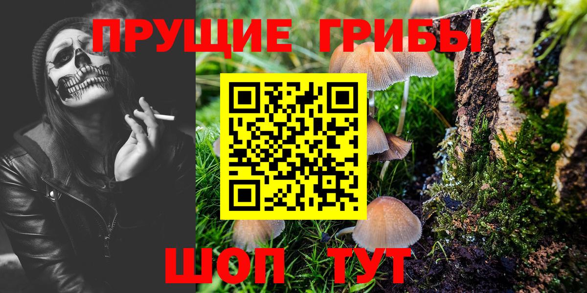 Галлюциногенные грибы Psilocybine cubensis  Вход с VPN  Карачаевск 