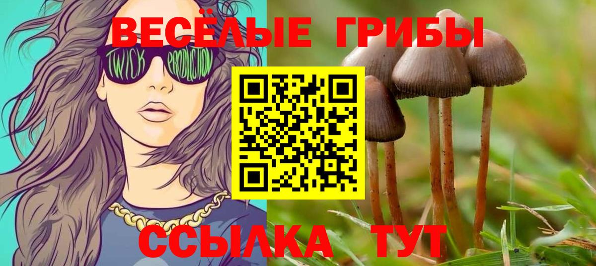 Конопля Карачаевск