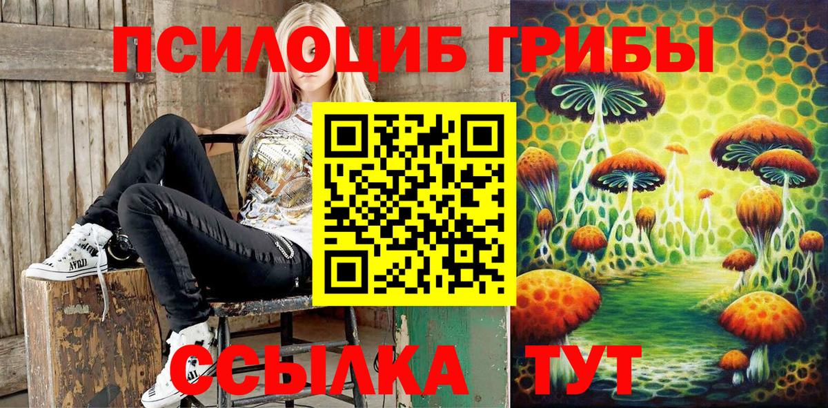 Псилоцибиновые грибы Cubensis Карачаевск